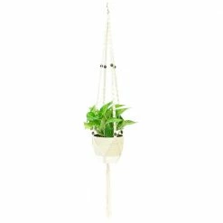 Promo β Costa Farms Pothos Plant in 6 in. Premium Ceramic with Macrame Hanger β