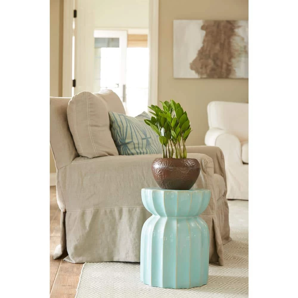 Deals ๐ Costa Farms ZZ Plant in 6 in. Grower Pot โญ - Image 5