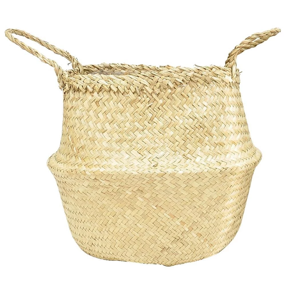 Best deal 🎁 Costa Farms 10 in. Marginata Plant in Natural Decor Basket 😉 - Image 4