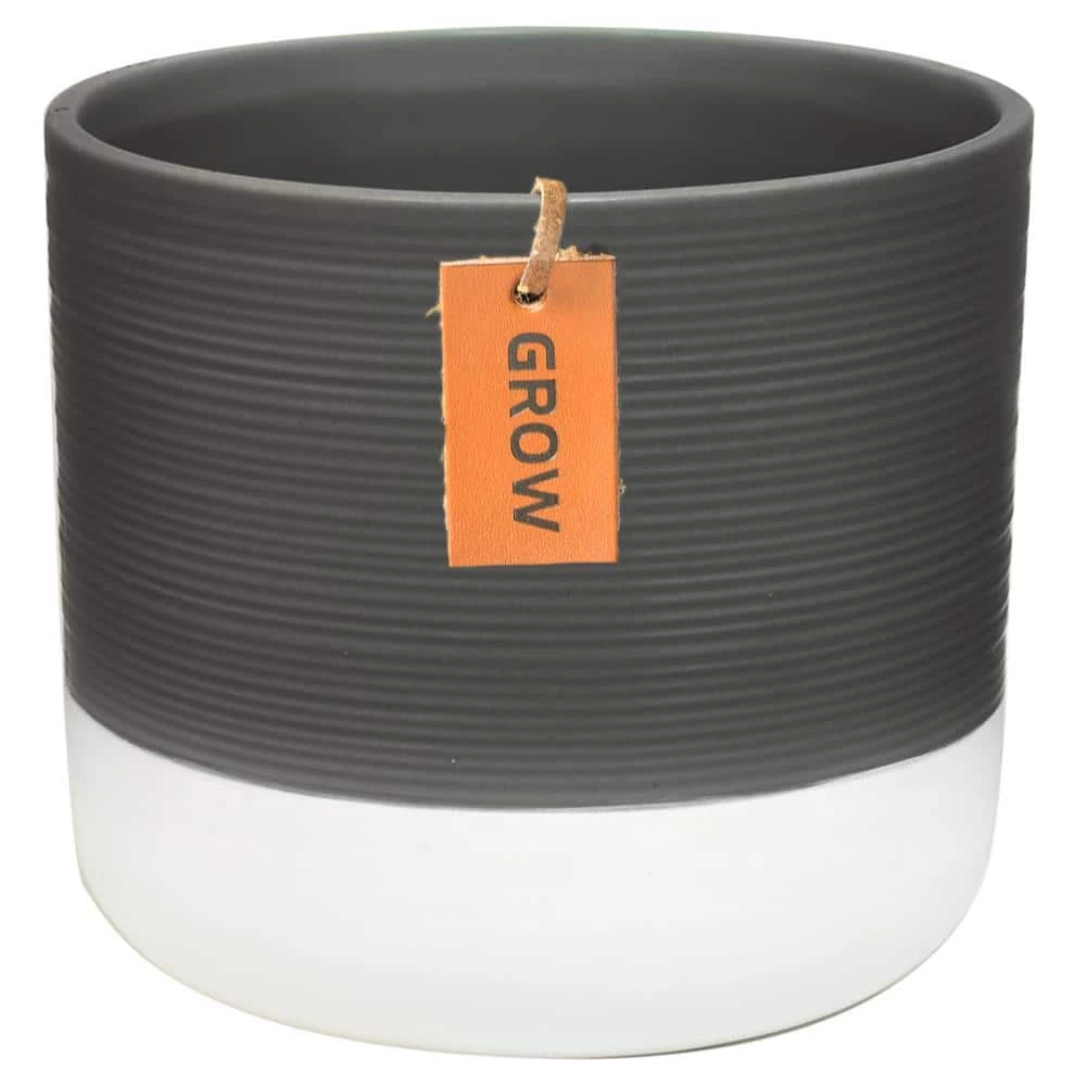 Best reviews of 👏 Costa Farms 6 in. Spathiphyllum Peace Lily Plant in 2-Tone Ceramic 🎁 - Image 4