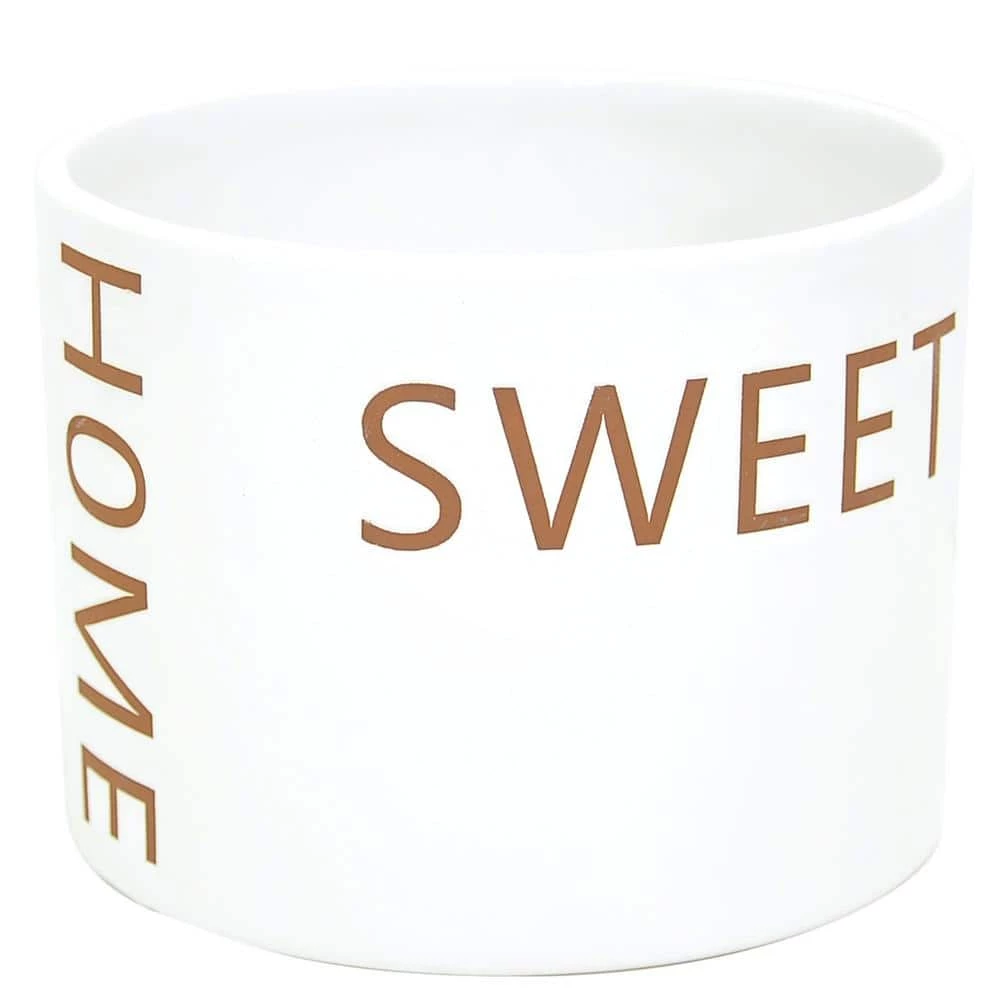 Wholesale ๐ฏ Costa Farms Spathiphyllum Peace Lily Plant in 6 in. Home Sweet Home Ceramic ๐งจ - Image 5