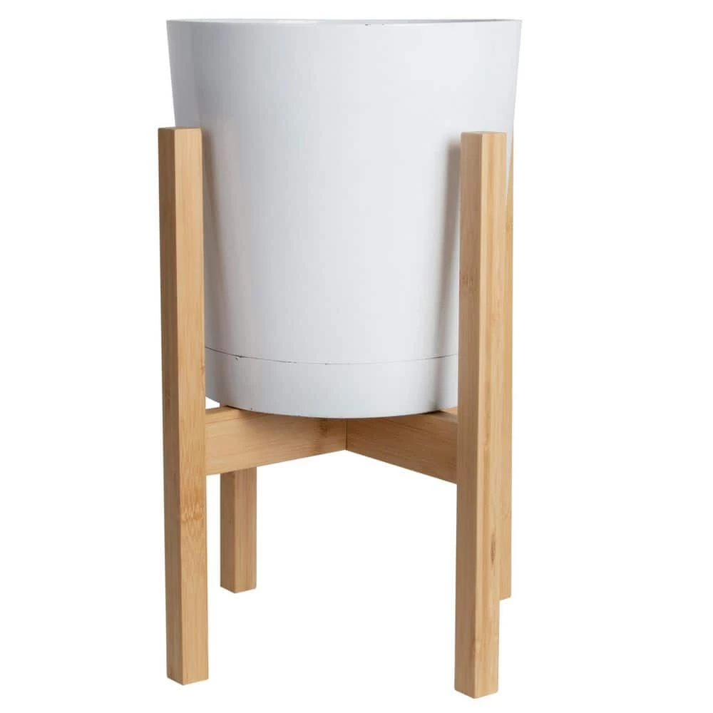 Buy โ๏ธ Costa Farms Grower's Choice Snake (Sansevieria) Plant in 10 in. White Cylinder Pot and Stand ๐ - Image 2